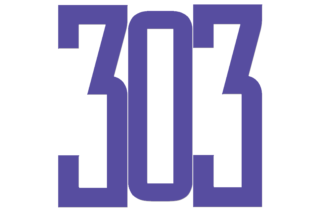 303 – Trafego Pago e Performance